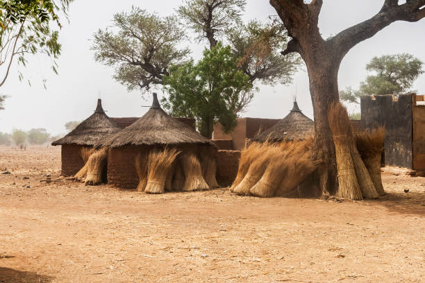 Traditional huts in a mosi village of Burkina Faso with some bundles of straw their circular walls.