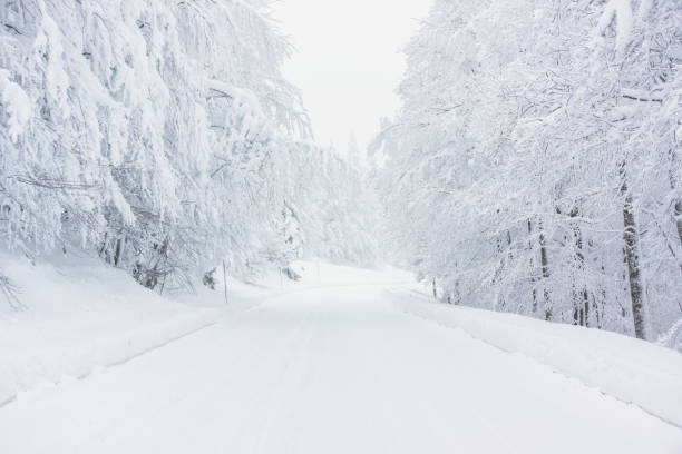route enneigée - winterroad photos et images de collection