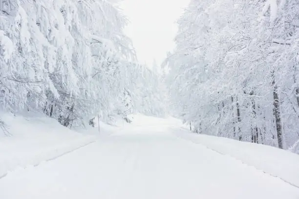 Photo of Snowy road