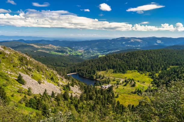 vogesen im sommer, frankreich - mountain mountain range landscape france stock-fotos und bilder