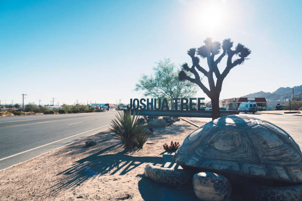 istock Joshua Tree national park sign 1066524096