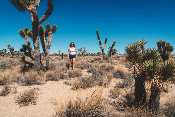 istock Young woman in Mojave desert 1066525238