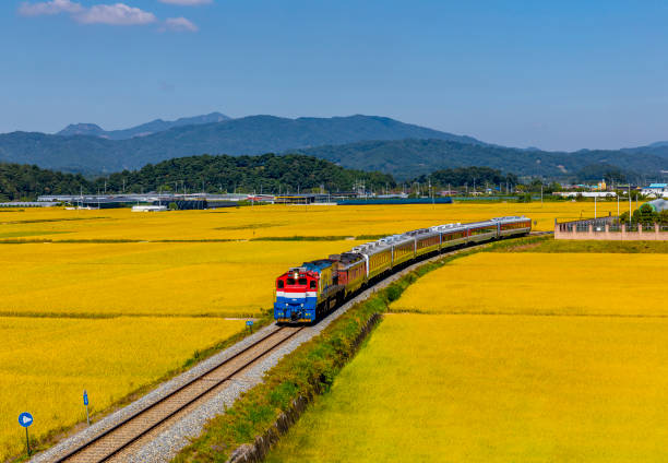 The train runs vigorously towards abundance through the harvest