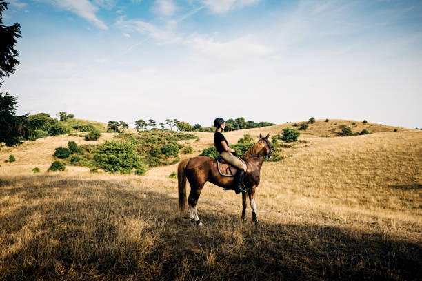 istock Horse and rider out for a ride. 1066533036
