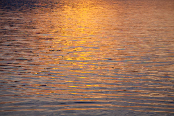 istock Sunset colors on sea water surface high resolution background 1066536694