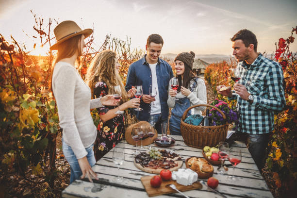 istock Wine drinking and tasting in the vineyard 1066537918