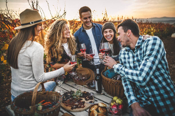 istock Wine drinking and tasting in the vineyard 1066538322