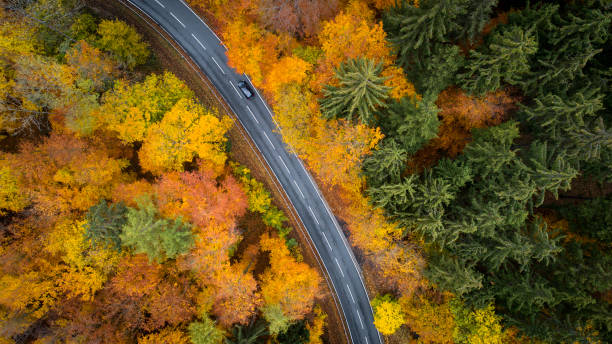 istock Road through autumnal forest - aerial view 1066538750