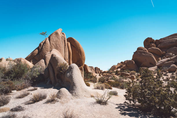 istock Large rocks in Joshua Tree national park 1066542666
