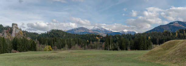 панорамный пейзаж вид зеленых пастбищ и леса в осенних цветах с заснеженными горами позади в альпах швейцарии - graubunden canton surselva panoramic scenics стоковые фото и изображения