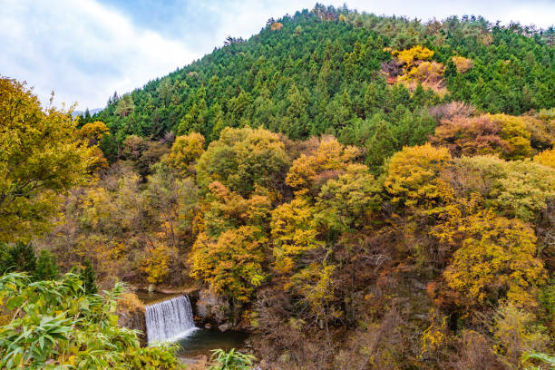 istock A vividly autumn leaves mountain 1066544530