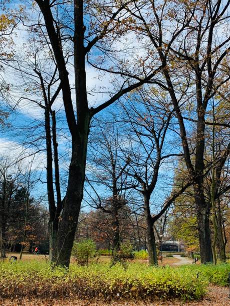 istock Public park in fall time in Europe 1066549314