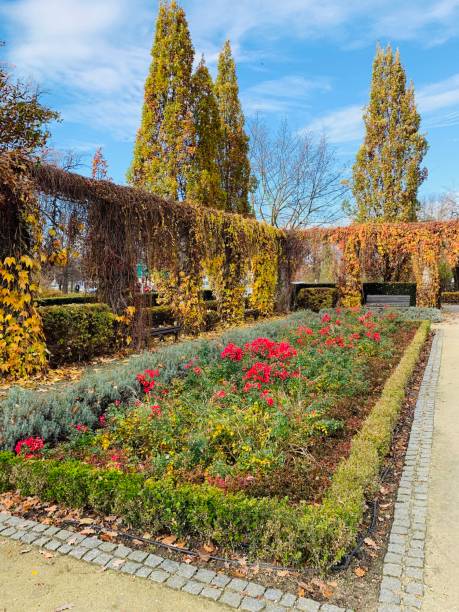 istock Public park in fall time in Europe 1066549416