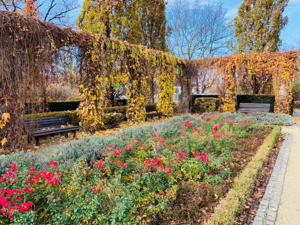 istock Public park in fall time in Europe 1066549418