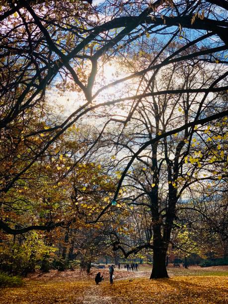 istock Public park in fall time in Europe 1066549572