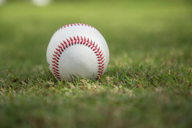 baseball su erba verde - baseballs baseball grass sky foto e immagini stock