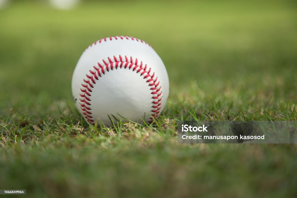 Baseball on green grass Baseball - Ball Stock Photo