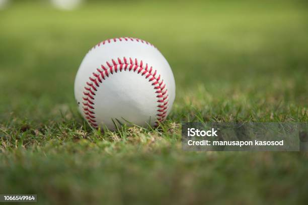 Baseball On Green Grass Stock Photo - Download Image Now - Baseball - Ball, Baseball - Sport, Child