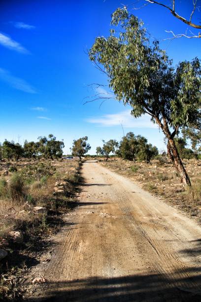 istock Countryside landscape and path with autochthon bushes 1066552478