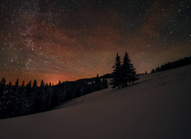 hiver sous le ciel nocturne - asterism photos et images de collection