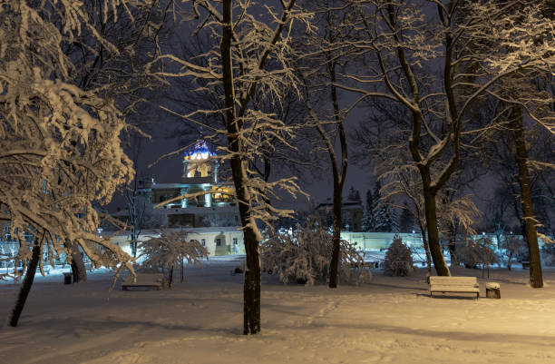 istock Night winter park in Lviv, Ukraine 1066555790