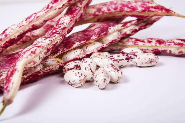 istock Colorful kidney bean isolated on white background. 1066563260