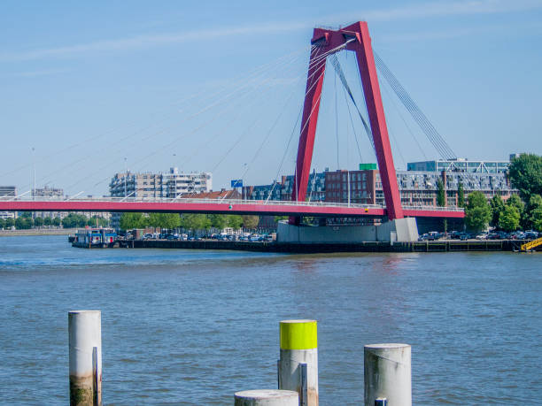 istock panoramic view of willems bridge in Rotterdam 1066566968
