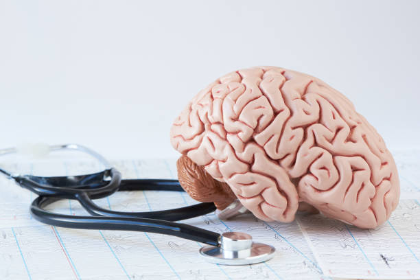 istock Human brain model and stethoscope on background of brain waves f 1066569472