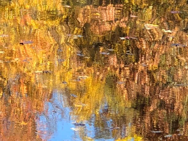 Reflections of Fall in Central Park stock photo