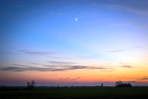 istock Sunset in field with small plants and moon 1066572612