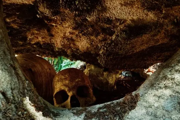 Walarano village, Malekula Island / Vanuatu - 9 JUL 2016 : human remains bones and skull at a traditional cannibal site next to a ground oven