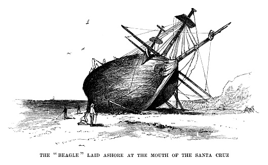 The Beagle laid ashore in Santa Cruz on the Galapagos Islands - Scanned 1880 Engraving