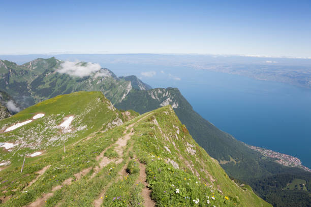 istock Lake Geneva seen from le Grammont mountain (Switzerland) 1066575194