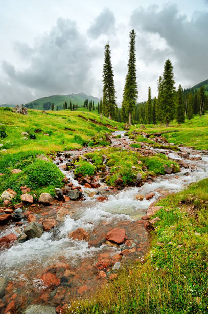 istock highland pasture in Xinjiang, China 1066579426