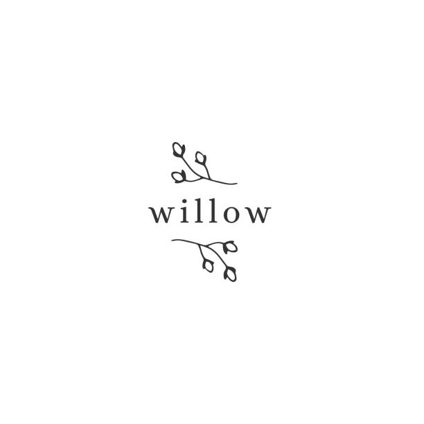 Vector hand drawn floral label template in minimal style. Vector floral hand drawn label template in elegant and minimal style. Willow branch. Black on white illustration. For badges and branding business identity. willow tree stock illustrations