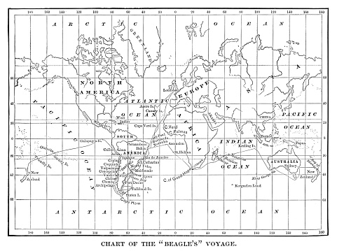 Chart of the Beagle's voyage. Charles Darwin travel map - Scanned 1880 Engraving