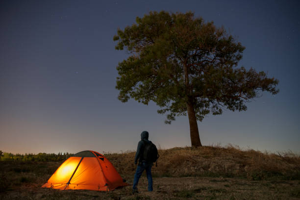 istock The hikers and a single big tree are in the setting sun. 1066591566