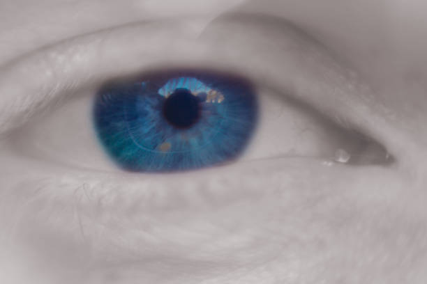 istock Close up macro image of human eye 1066593308