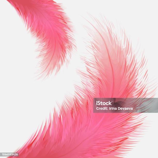 Beautiful Colorful Small And Big Realistic Bird Feathers Isolated On White Background Vector Illustration Stock Illustration - Download Image Now