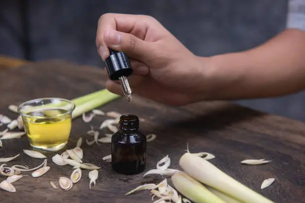 Lemongrass oil is a plant that is used as a food and medicine. By extracting in the form of water. And the smell of the leaves can also be mosquitoes