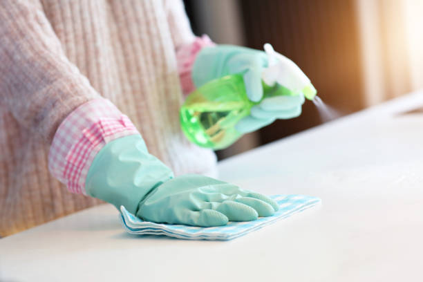 istock Happy woman cleaning kitchen countertop 1066624306