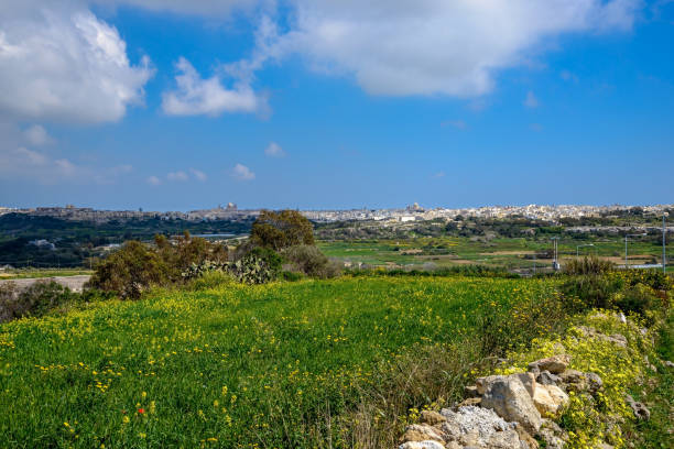 Malta: View to Mdina and Rabat