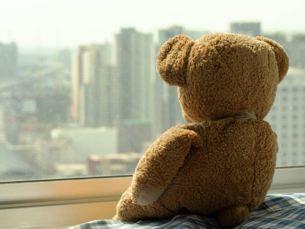 istock Sad brown teddy bear doll sitting alone on window shield looking outside, feel alone, sad and disappointed. 1066632570