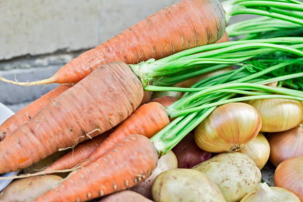 istock A ripe carrots, vitaminous 1066633900