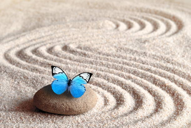 istock A blue vivid butterfly on a zen stone with circle patterns in the grain sand. 1066638598