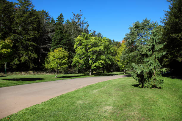 istock Scenery In Victoria Park, Nova Scotia, Canada 1066641024