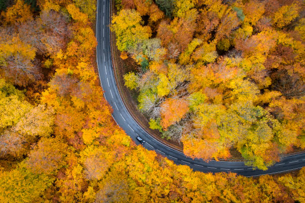 istock Road through autumnal forest - aerial view 1066644278
