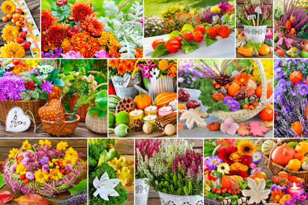 istock Autumn decorations and flowers 1066650688