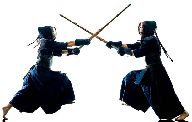 Kendo martial arts fighters silhouette isolated white bacground stock photo
