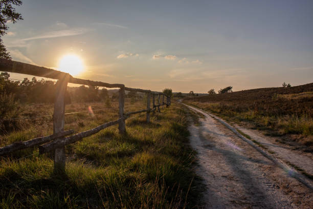 istock Farmland at sunrise 1066654684
